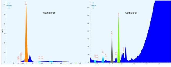 ��ʨ�����(�й�)���޹�˾-Official website