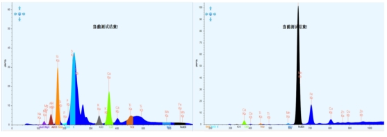 ��ʨ�����(�й�)���޹�˾-Official website