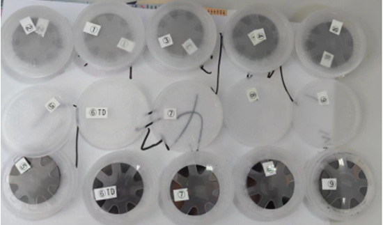 ��ʨ�����(�й�)���޹�˾-Official website