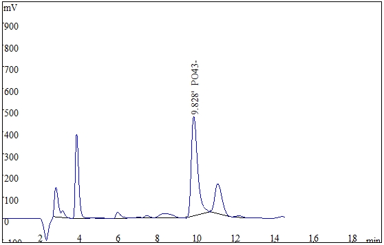 ��ʨ�����(�й�)���޹�˾-Official website