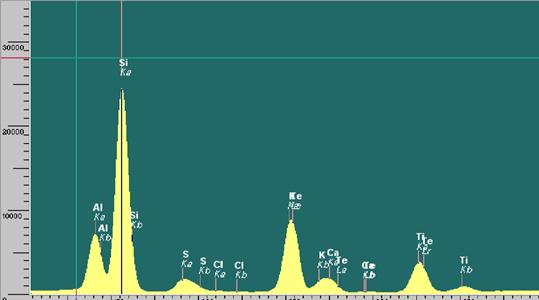 ��ʨ�����(�й�)���޹�˾-Official website