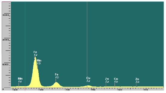 ��ʨ�����(�й�)���޹�˾-Official website